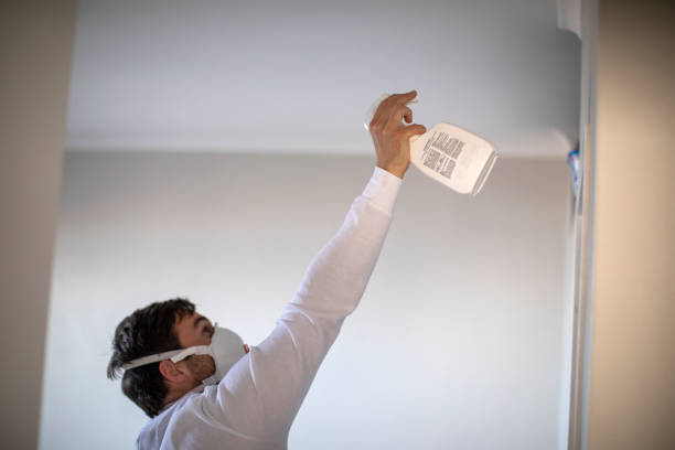 Mold Removal and Inspection in St Clair, MI