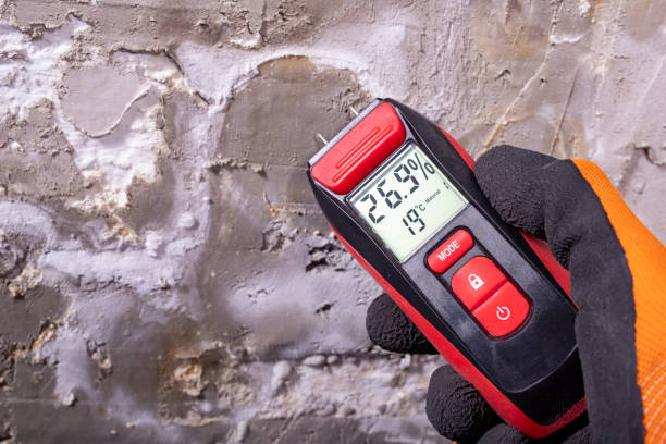 Reliable St Clair, MI Mold Removal Solutions
