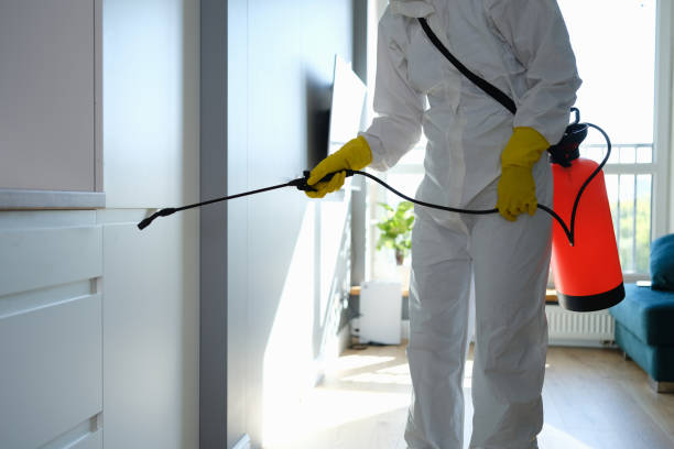 Best Residential Mold Removal  in St Clair, MI