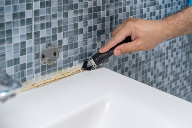 Best Black Mold Removal  in St Clair, MI